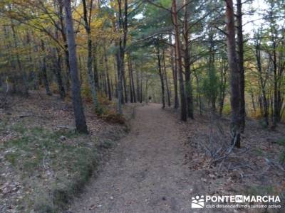 Rutas Senderismo, Parque Natural del Hayedo de Tejera Negra; ruta pedriza; montaña madrid